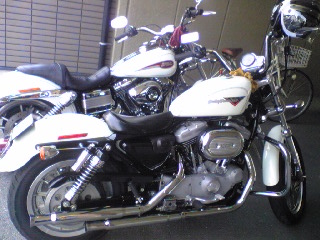 a0099129_2284851.jpg