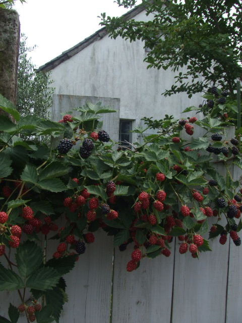 c0110930_033252.jpg