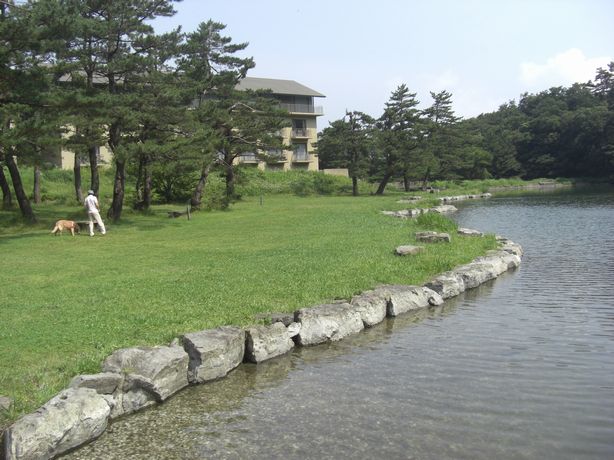 e0142430_16384641.jpg