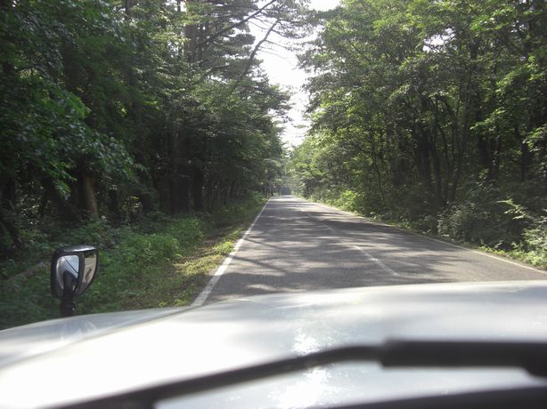 e0142430_16395712.jpg