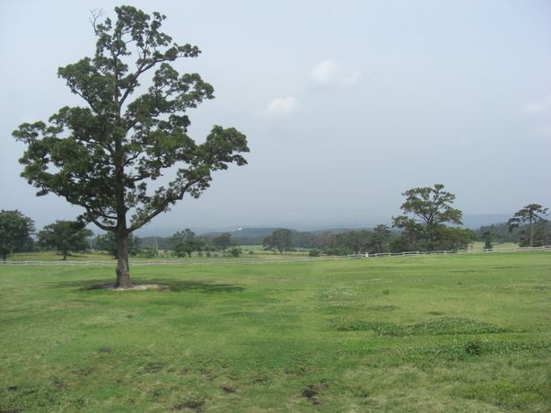 e0142430_16483317.jpg