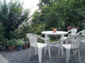 a0054240_224052.jpg