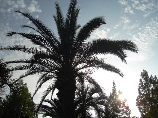e0119840_21552131.jpg
