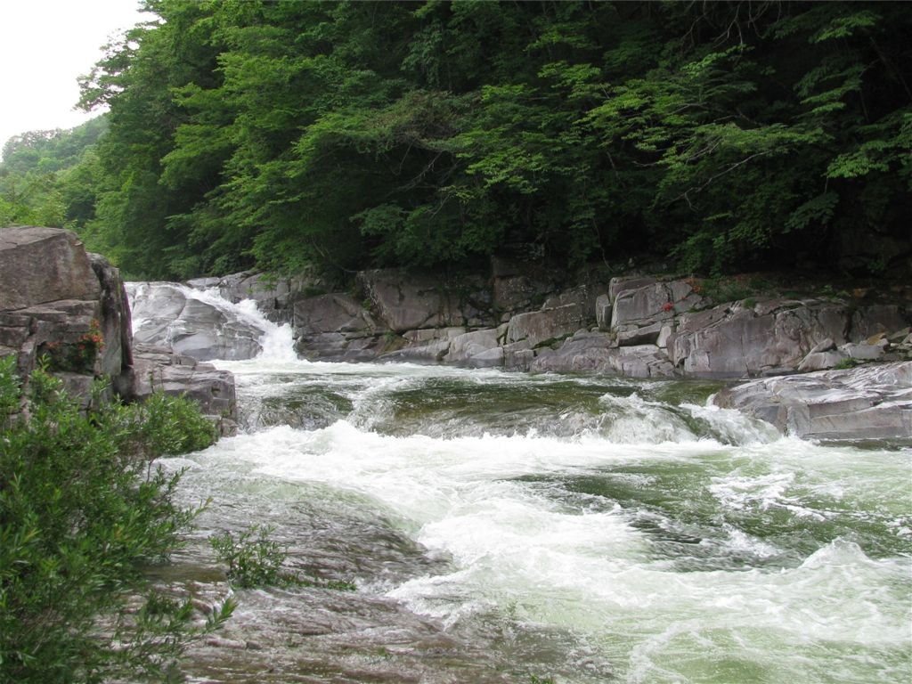 f0151044_2395131.jpg