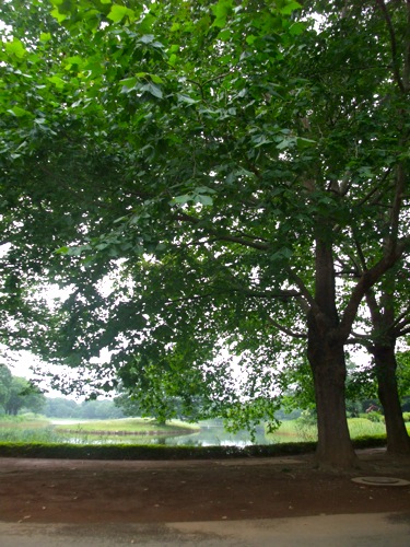 c0183846_1734816.jpg