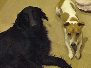 f0095047_23332157.jpg