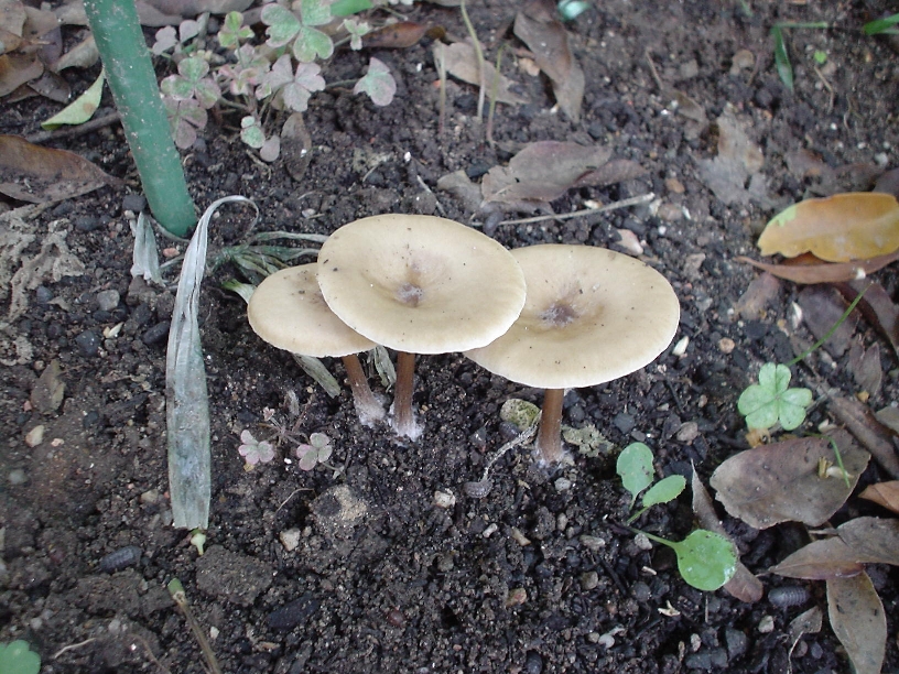 f0191248_15462524.jpg