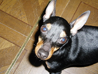 c0123149_13424415.jpg