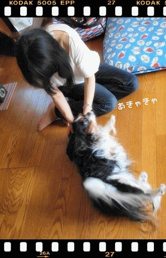 c0145250_12444352.gif