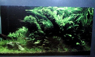 f0198950_2141379.jpg