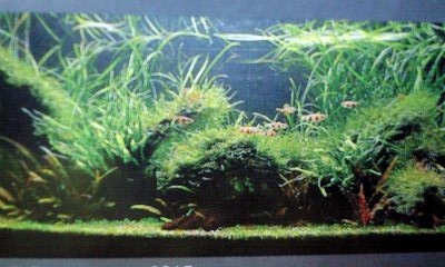 f0198950_2202857.jpg