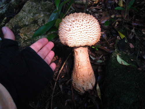 c0179351_16423.jpg