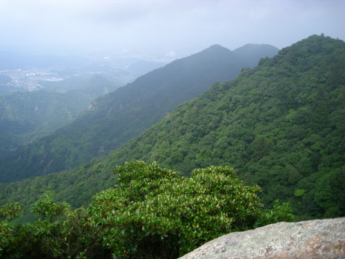 c0179351_1693770.jpg