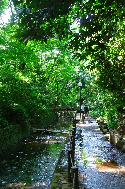 c0119160_7212636.jpg