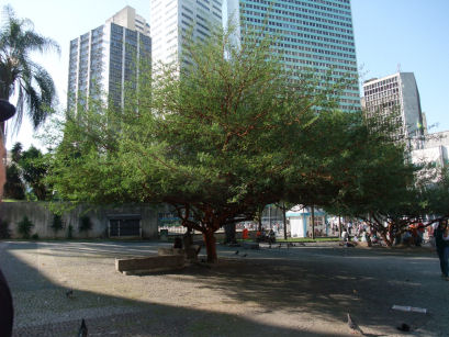 d0151463_402657.jpg