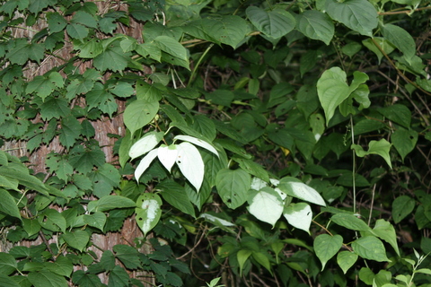 c0183164_21172838.jpg