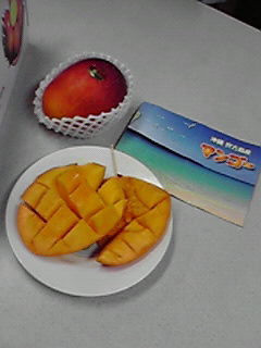 c0144868_024989.jpg