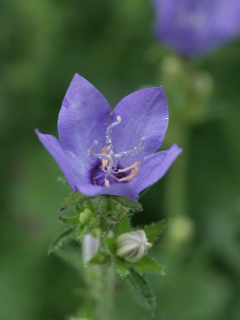 d0025568_189359.jpg