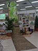 d0061968_685250.jpg