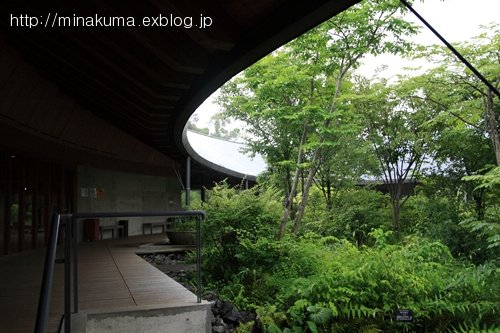 b0138370_16275312.jpg