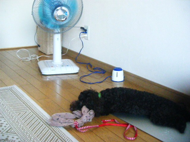 f0207970_82171.jpg