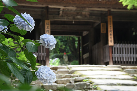 c0104371_11313720.jpg
