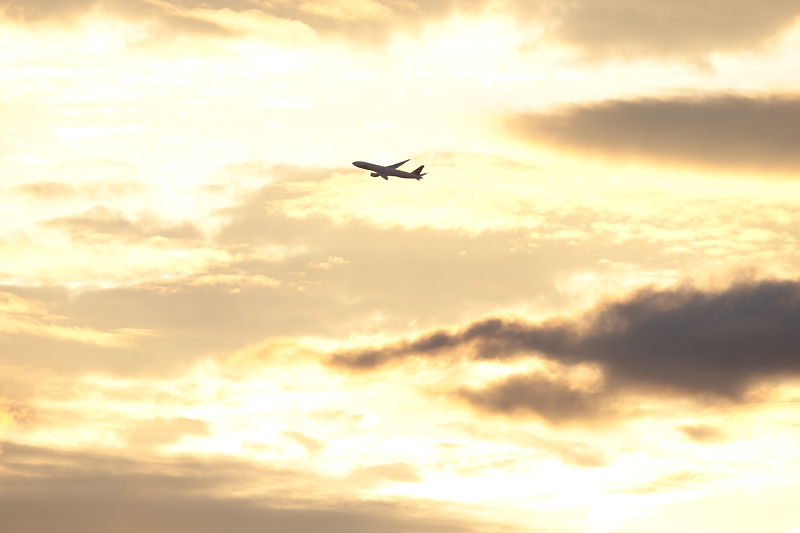 a0117972_2014496.jpg