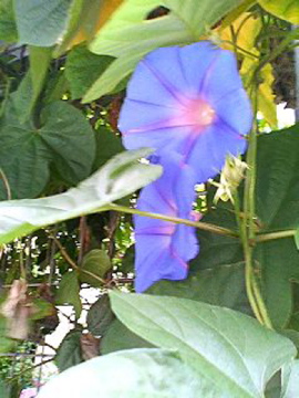 f0054677_822187.jpg