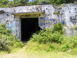 b0070879_1758346.jpg