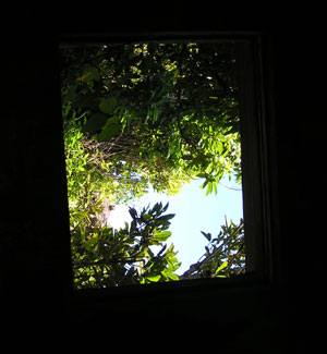 b0070879_17591498.jpg