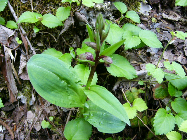 e0145782_21431413.jpg