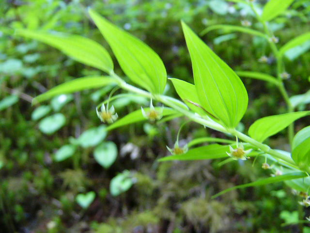 e0145782_2145435.jpg