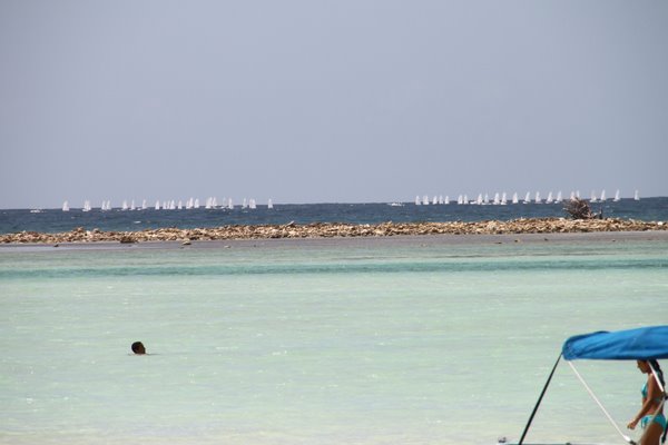 b0187885_2321353.jpg