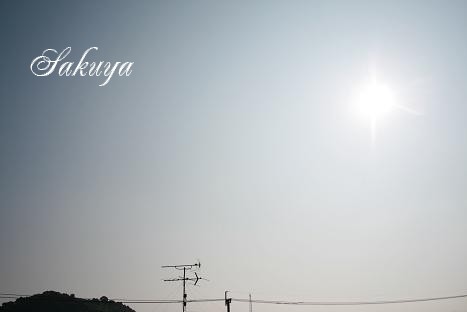 e0122194_22345652.jpg