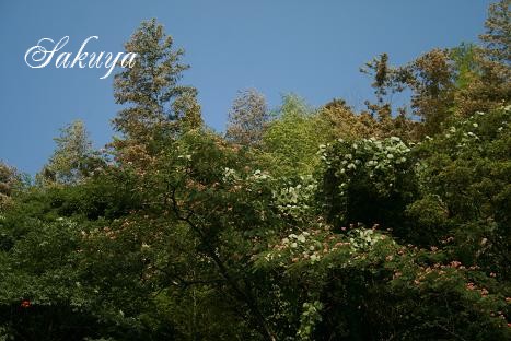 e0122194_2235204.jpg