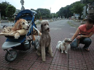 b0154898_835126.gif