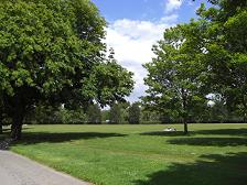 f0127098_7485556.jpg