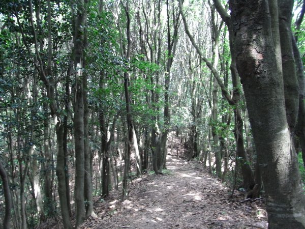 f0187402_1931334.jpg