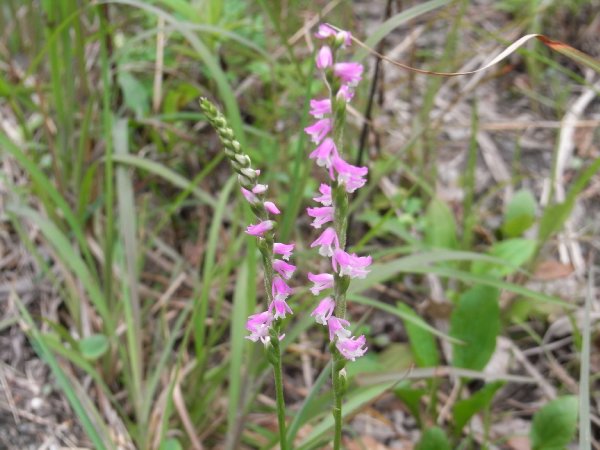 f0187402_20565375.jpg