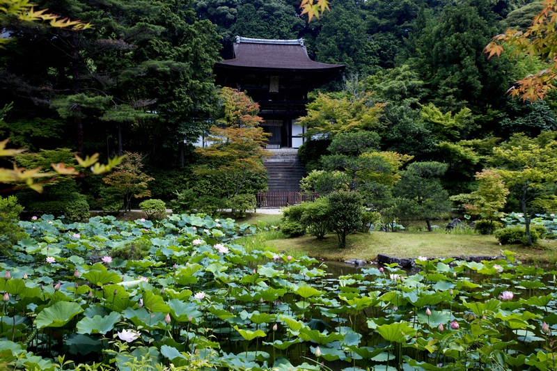 c0043403_23451790.jpg
