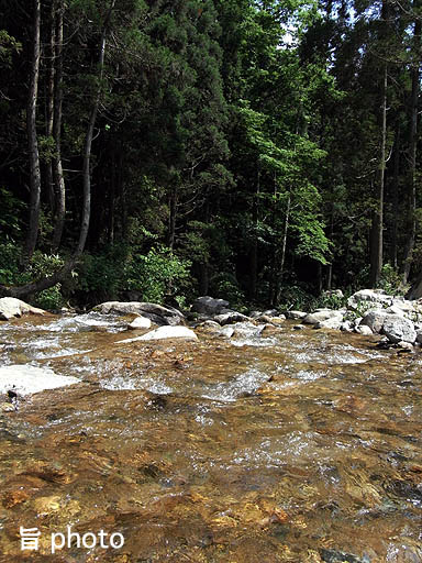 b0061004_1124571.jpg