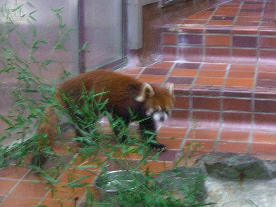 c0110906_10372433.jpg