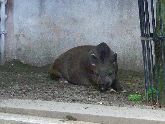 c0110906_10443763.jpg