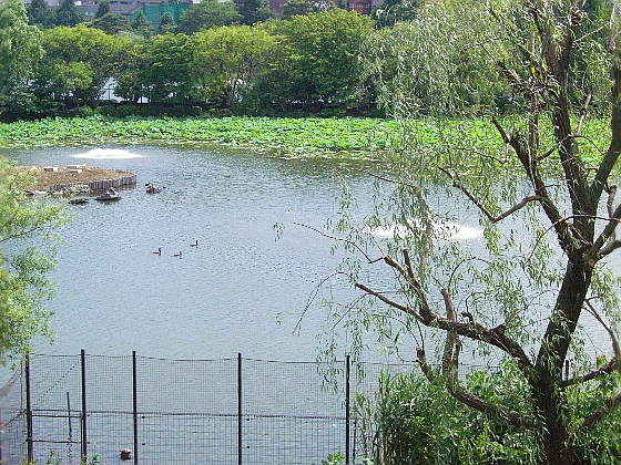 c0110906_10451577.jpg