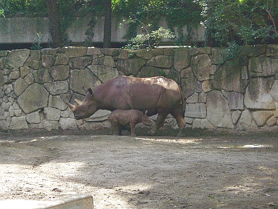 c0110906_112107.jpg
