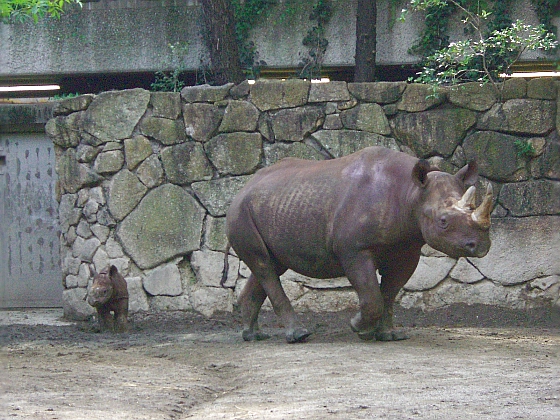 c0110906_1122135.jpg