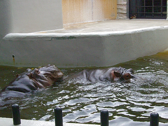 c0110906_11271576.jpg