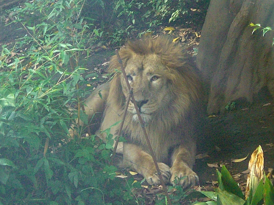 c0110906_11313064.jpg