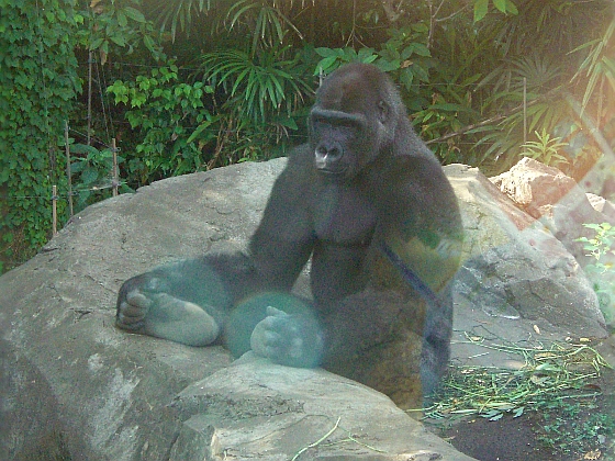 c0110906_1139201.jpg