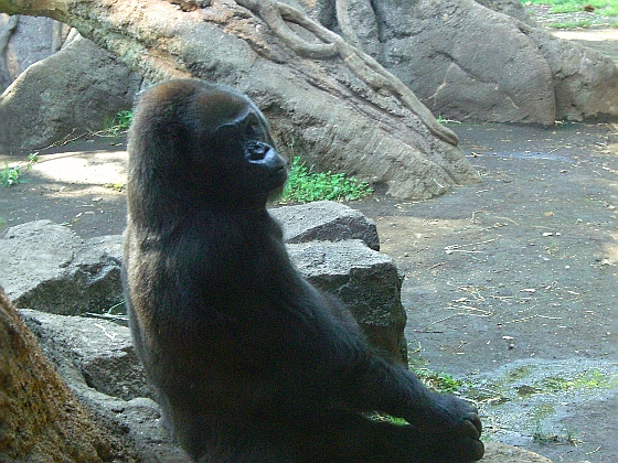 c0110906_11401622.jpg